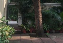 The Verve of the Verandah, a vignette by journalism student Abeer Khan