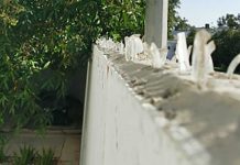 Glass Flowers, a vignette by journalism student Sara Hameed