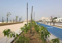 Sharjah Beach Renovation