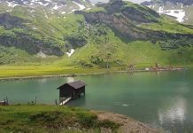 “Discovering True Beauty,” a short story by Chemistry student Heba Abed