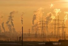 AUS, NYU-AD students partner to host climate action forum