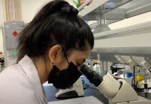 AUS laboratories’ hybrid teaching