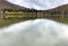 Lopota Lake: The calm eye of the world’s storm