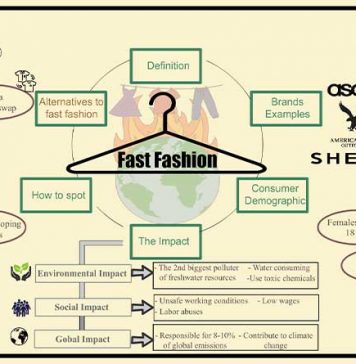 Fast Fashion