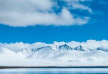 Climate change media project focuses on ‘immediacy’