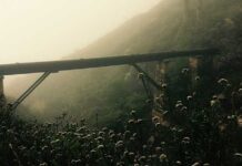 SBA introduces new supply chain management major