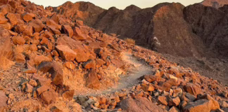Earth Tones and Ancient Trails: Discovering the Textures of UAE Mountains Rugged Peaks Offer a Sensory Experience Beyond the Skyline