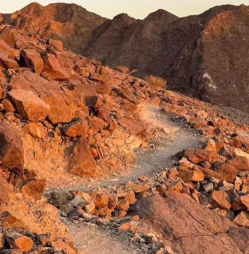 Earth Tones and Ancient Trails: Discovering the Textures of UAE Mountains Rugged Peaks Offer a Sensory Experience Beyond the Skyline