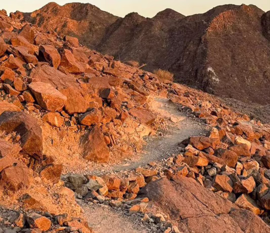 Earth Tones and Ancient Trails: Discovering the Textures of UAE Mountains Rugged Peaks Offer a Sensory Experience Beyond the Skyline